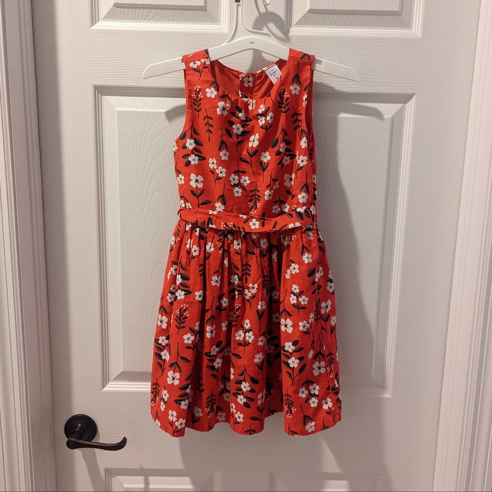 Carter's Holiday Dress